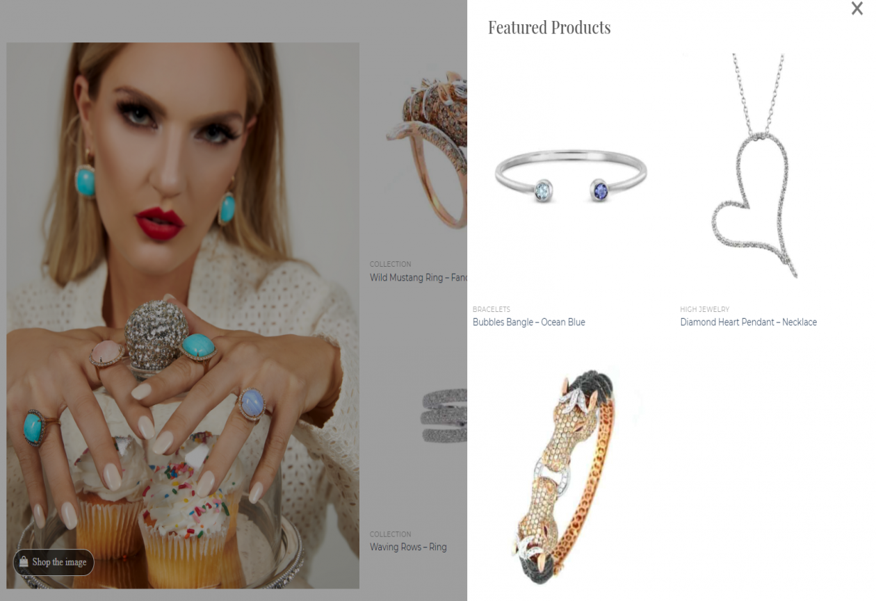 Jewelstream_galt-bro_shop by image